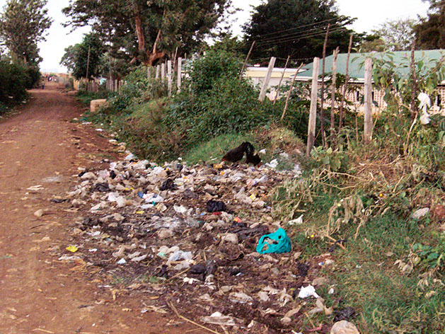 Plastic afval gewoon langs de weg