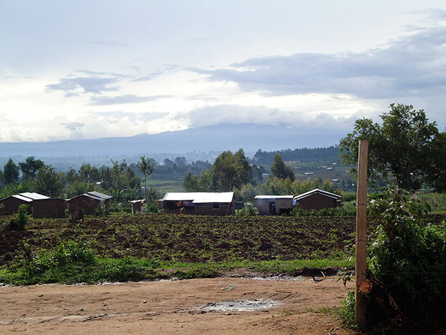 Mbai farm (Mount Elgon op achtergrond)